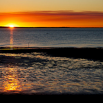 澳大利亚,日落,海洋,概念,放松,假日