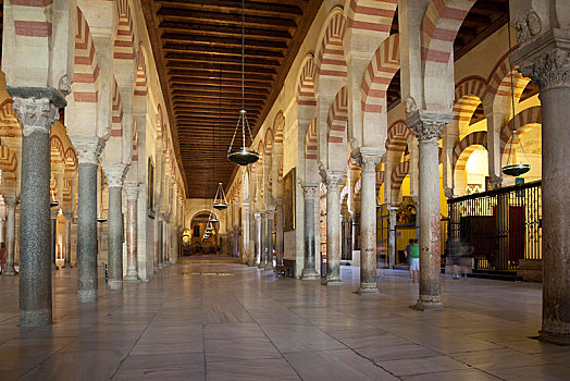 柱子,祈祷,大厅,清真寺,大教堂,科多巴,安达卢西亚,西班牙,欧洲