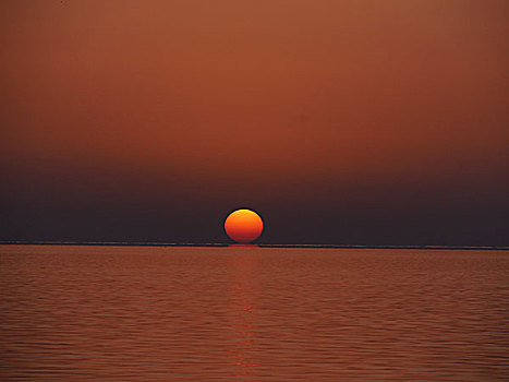 日落,海洋,靠近,西西里,意大利