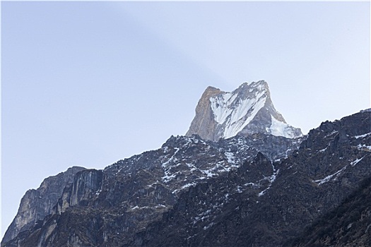 鱼尾,山,尼泊尔