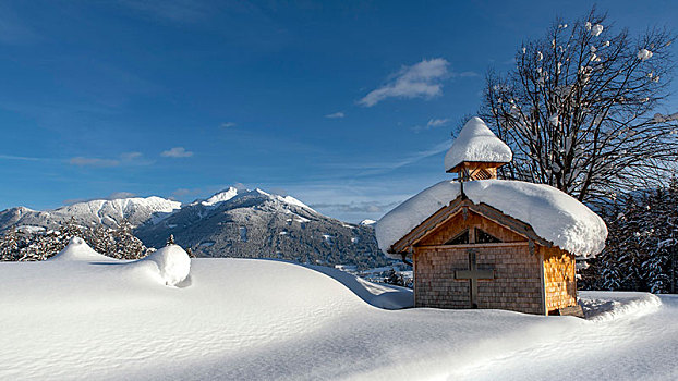 木质,小教堂,雪,背影,提洛尔,奥地利,欧洲