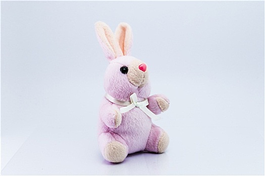 有趣,编织,兔子,玩具,隔绝,白色背景,背景