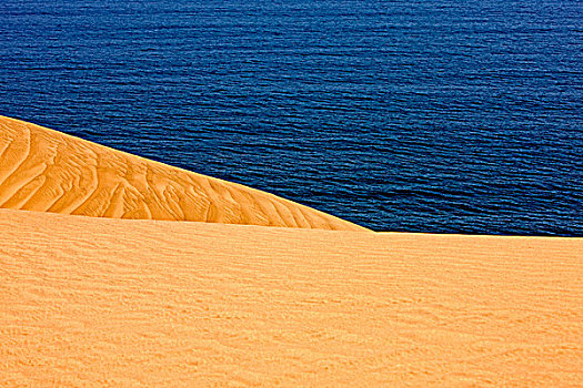 沙丘,海洋,靠近,湾,沙漠,纳米比亚