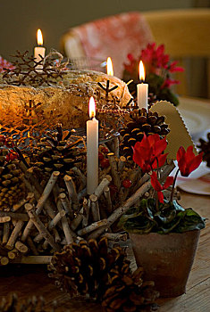 圣诞桌,布置,仙客来,花