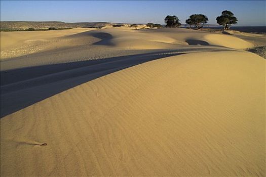马达加斯加,沙丘