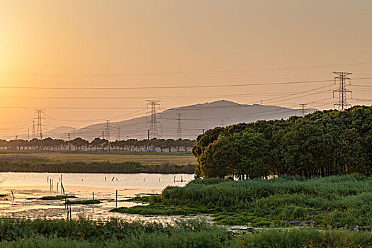 夕阳下的沼泽远山高压电塔