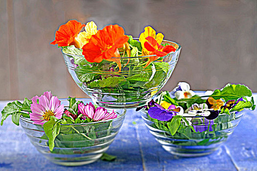 沙拉盘,食用花卉