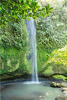 瀑布,苏拉威西岛,万鸦老,印度尼西亚
