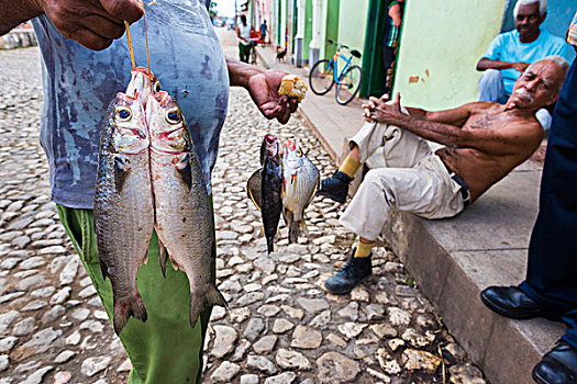 男人,新鲜,抓住,鱼肉,特立尼达,古巴