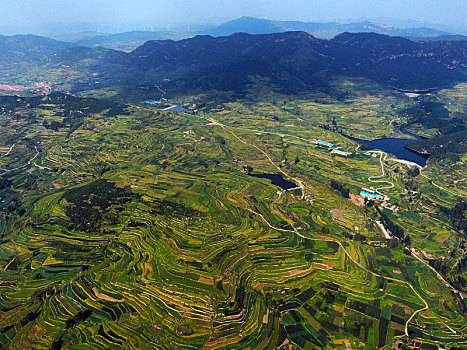 山东省日照市,航拍莒县龙山七彩梯田,色彩斑斓扮靓丰收季节