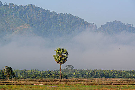 亚洲,缅甸