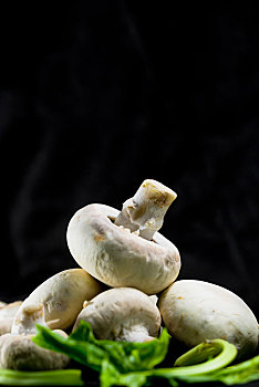 少量新鲜蘑菇配蔬菜在黑色背景上