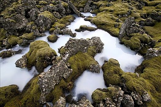 天然温泉,蓝藻,海水,热,下方,火山岩,冰岛