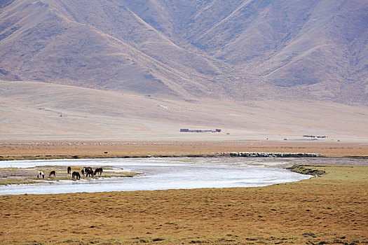新疆巴音布鲁克自然保护区