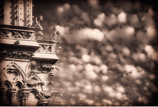 滴水兽,圣母大教堂,巴黎,法国