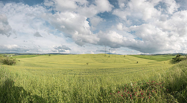 意大利托斯卡纳田园自然风景背景图