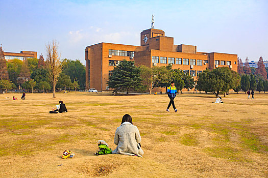 草地,草坪,树木,学生