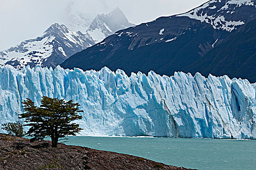 冰川冰,莫雷诺冰川,湖,阿根廷湖,区域,巴塔哥尼亚,阿根廷,南美,北美