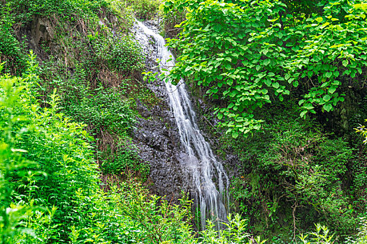 青山绿水