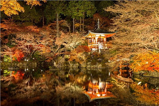 庙宇,夜晚,京都
