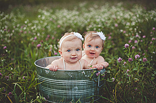 头像,婴儿,双胞胎,姐妹,浴,锡,浴缸,野花,草地