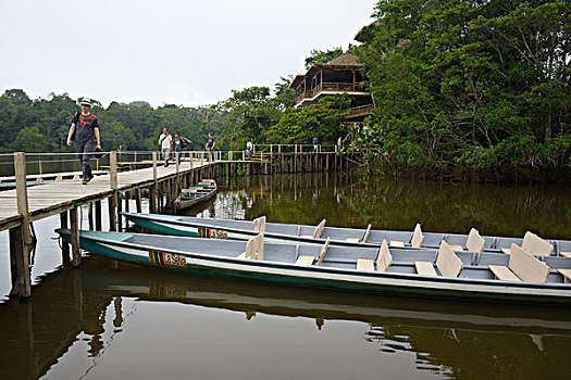 厄瓜多尔,河,独木舟,码头,亚马逊河,住宿,大幅,尺寸