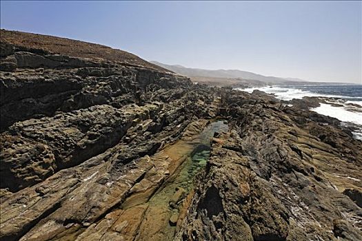 海岸,干盐湖,富埃特文图拉岛,加纳利群岛