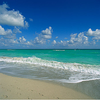 波浪,海滩,迈阿密海滩,迈阿密,佛罗里达,美国