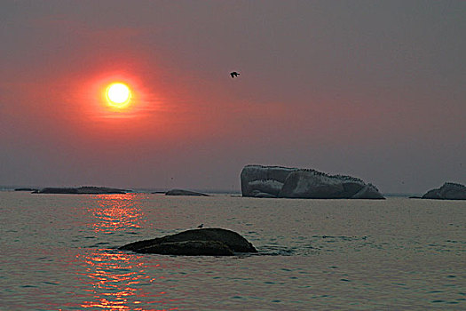 日落,上方,大西洋,海洋,风景,克利夫顿海滩,开普敦,南非,一月,2005年