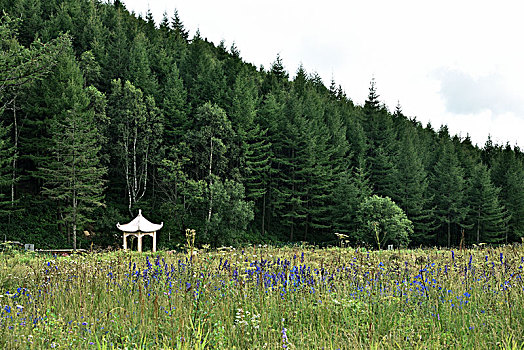 河北省石家庄市平山县驼梁风景区