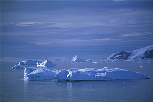 冰山,水中,南极