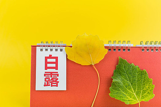 绿叶黄叶和日历,二十四节气白露主题图片