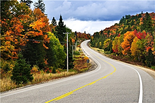 秋天,公路
