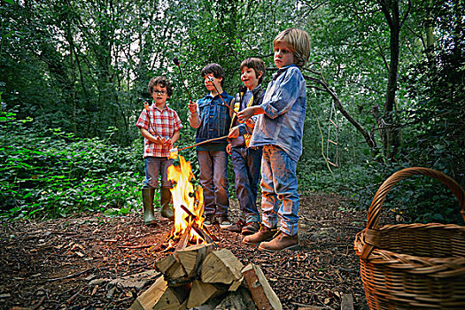 四个男孩,祝酒,果浆软糖,营火,树林