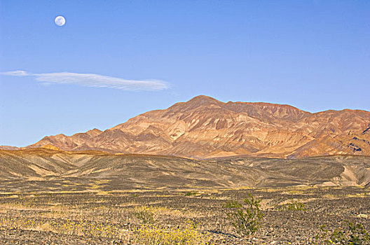 美国,满月,上升,上方,死亡谷国家公园