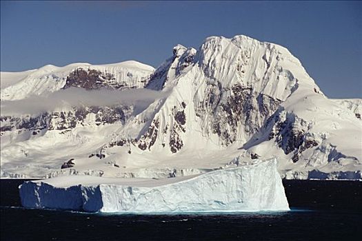 冰山,靠近,北方,尖,半岛,南极