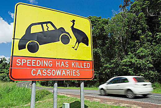 食火鸡,警告标识,公路,海滩,昆士兰,澳大利亚