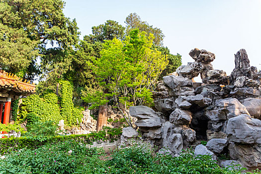 北京故宫御花园风光