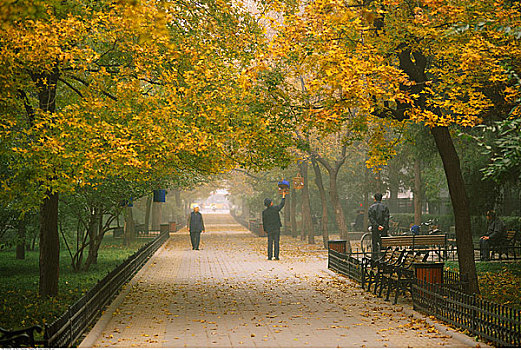 人行道,公园,北京,中国