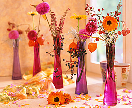玻璃花瓶,大丽花,万寿菊,野玫瑰果,石南花