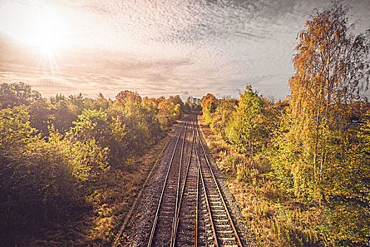 铁路,秋天,城市,彩色,树,秋色,轨道