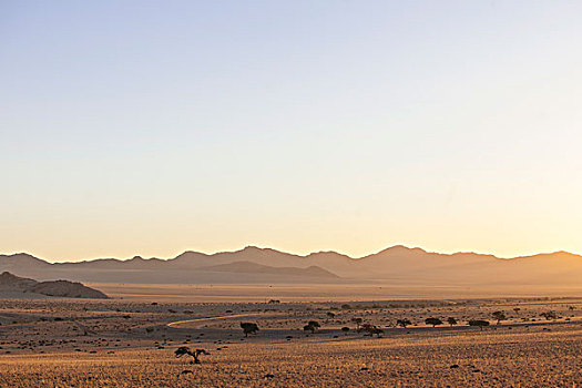 早晨,纳米布沙漠,纳米比亚,非洲