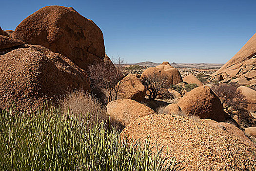 石头,植被,区域,达马拉兰,纳米比亚,非洲