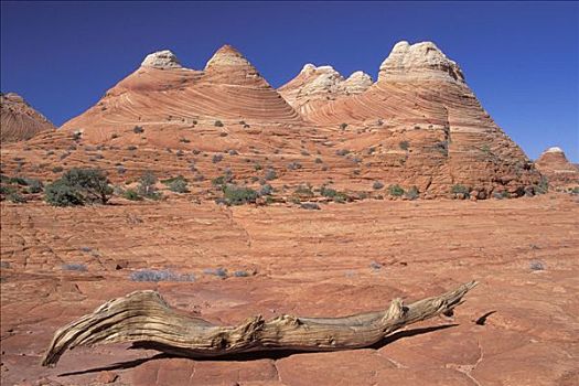 石化,沙丘,狼丘,亚利桑那,美国