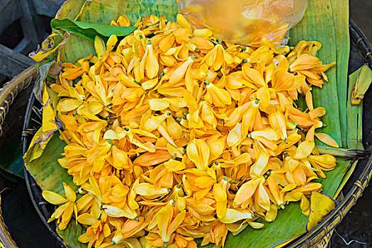 缅甸,山,花瓣,制作,花环,出售,市场