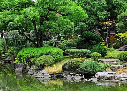 漂亮,花园,日本