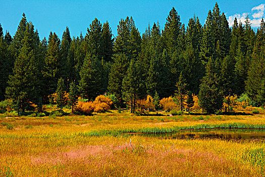 帽子,湖,拉森火山国家公园,加利福尼亚,美国