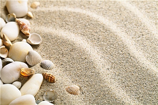 沙子,壳