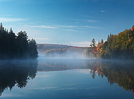 薄雾,上方,烟,湖,阿尔冈金省立公园,安大略省,加拿大