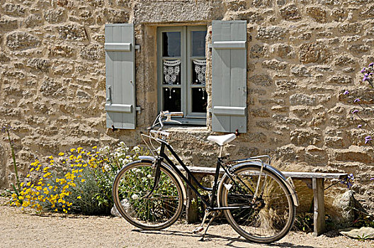 自行车,停放,窗户,长椅